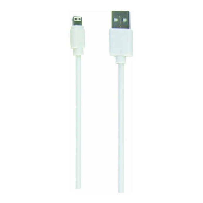 USB-A naar Lightning (8-pins) data en laadkabel wit (1 m)