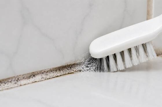 Blog voegen schoonmaken